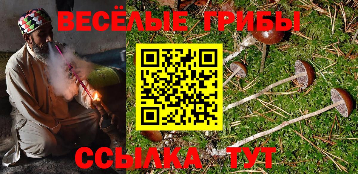 Галлюциногенные грибы Cubensis  Вход с VPN  Тельмана 